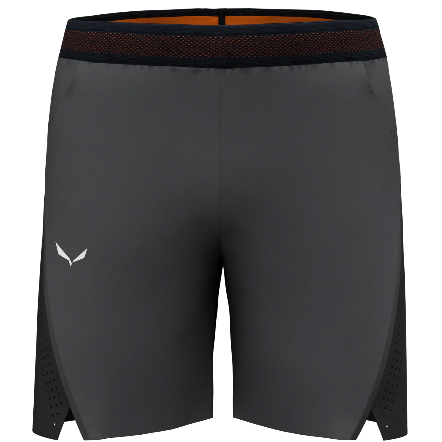 Salewa Pedroc 2 Durastretch Shorts Men
