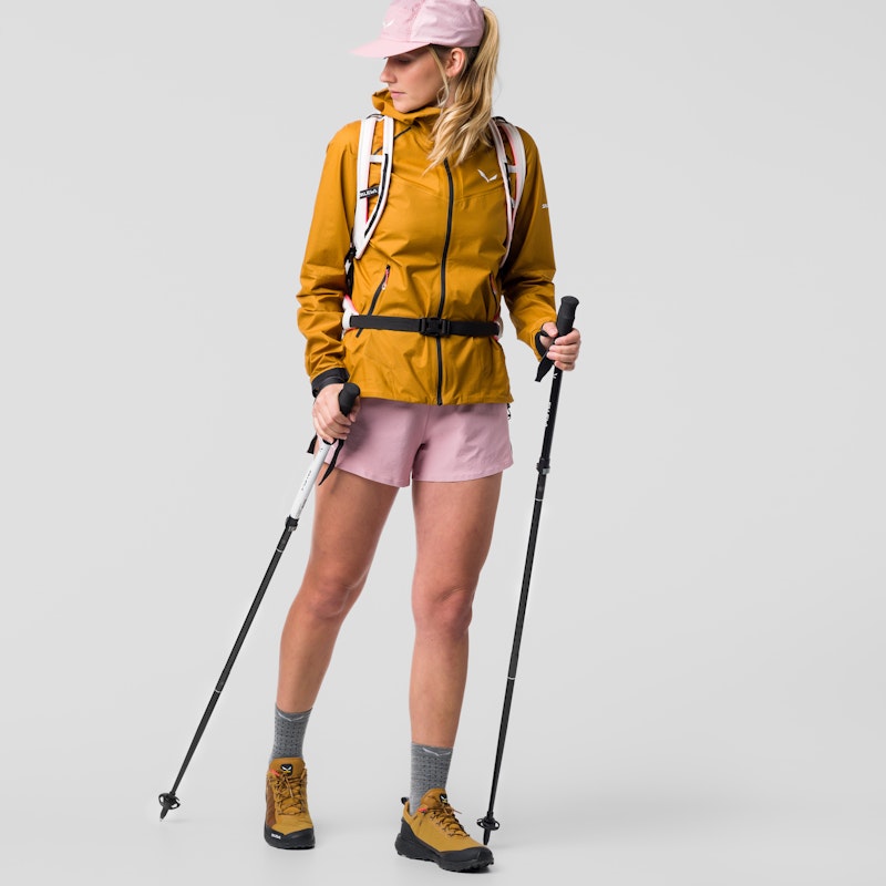 Salewa Pedroc Carbonium Poles