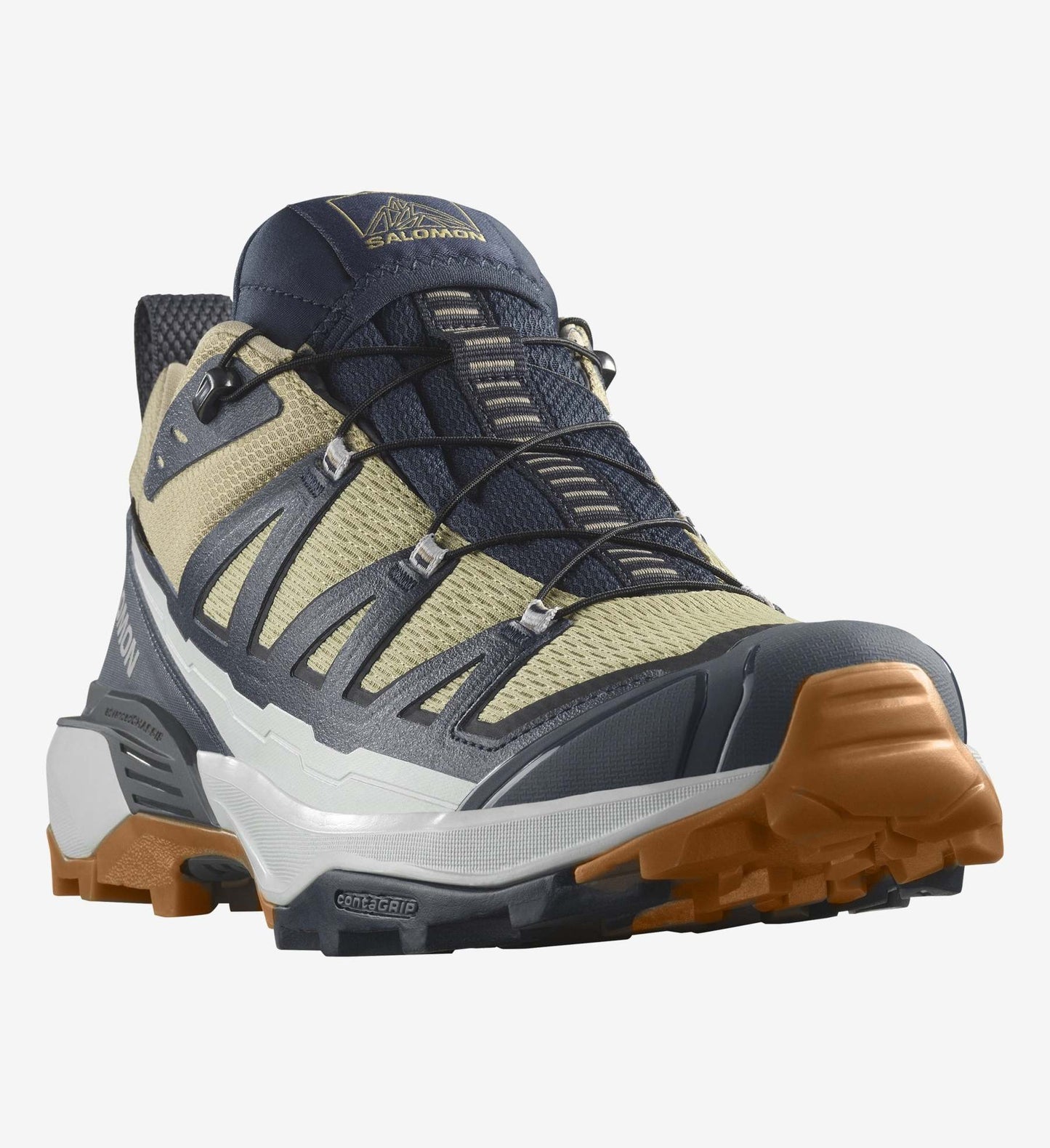 Salomon Shoes X Ultra 360 Edge GTX