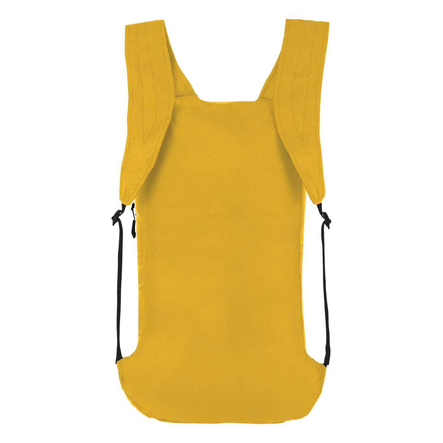 Salewa Ultralight 22L