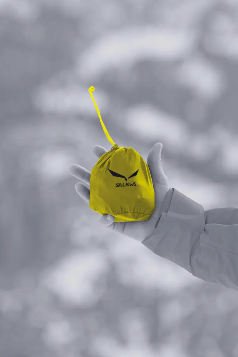 Salewa Ortles Harness