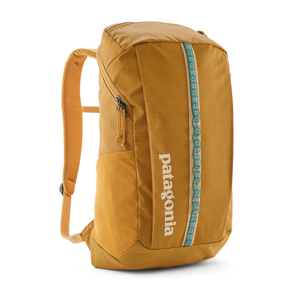 Pek Lubang Hitam Patagonia 25L