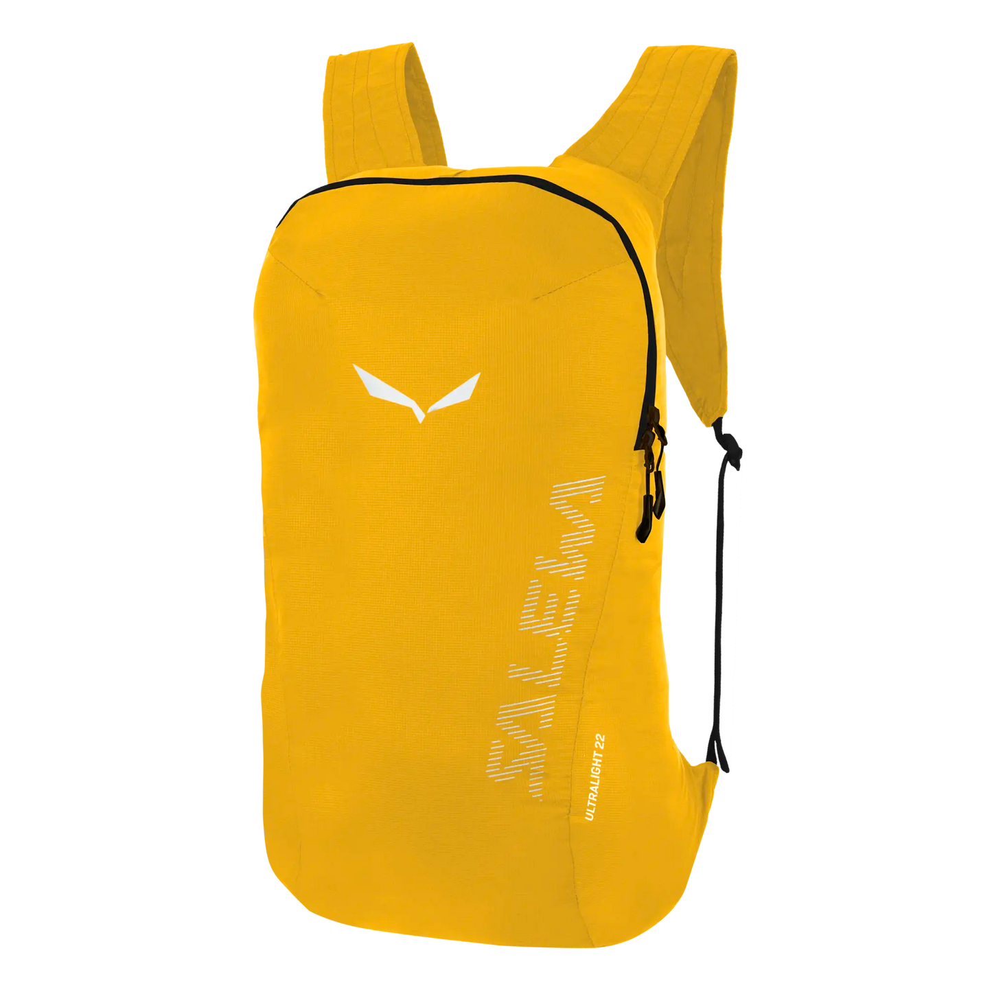 Salewa Ultralight 22L