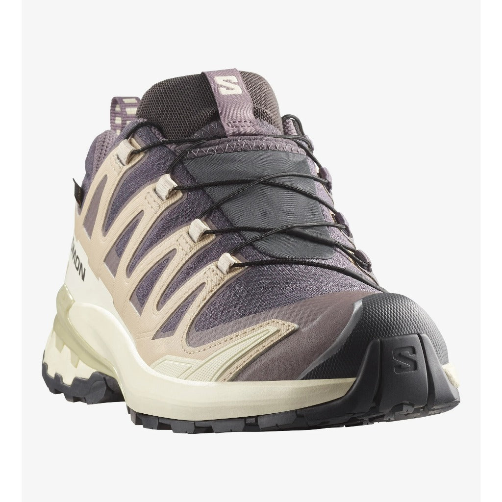 Salomon Shoes XA Pro 3D V9 GTX W