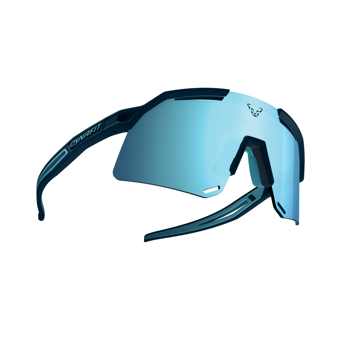 Dynafit Ultra Evo Sunglasses