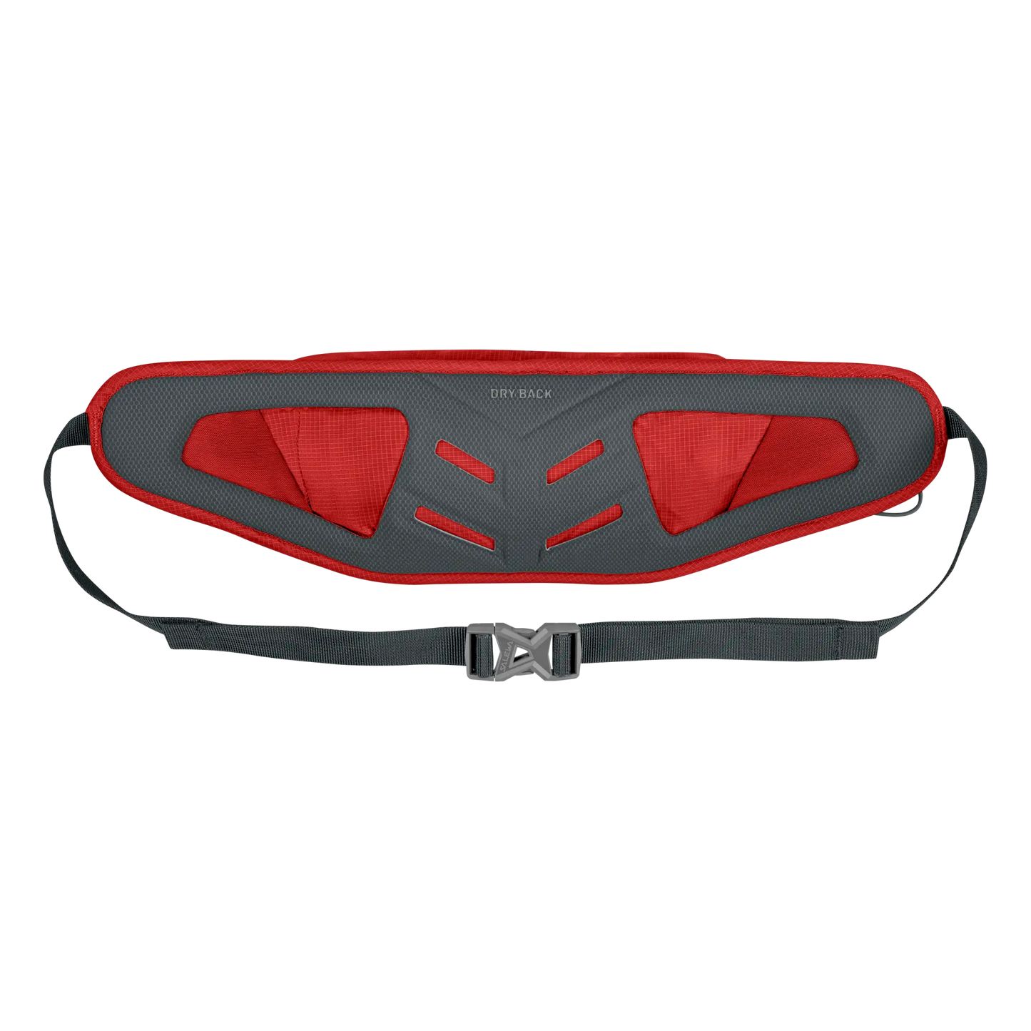 Salewa Lite Train Hipbelt