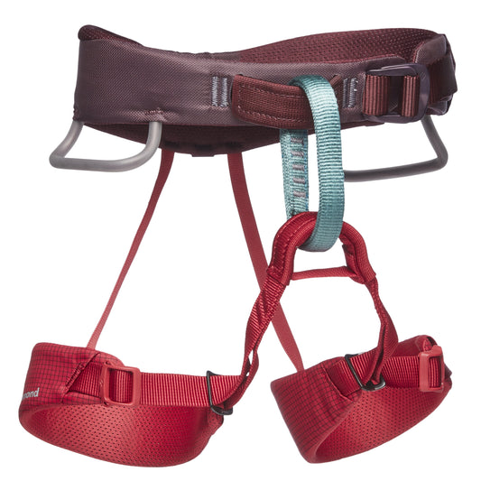 Black Diamond Momentum Kid's Harness