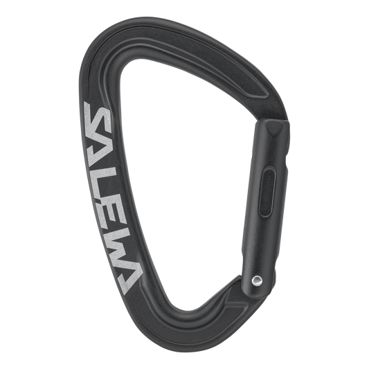 Salewa Ortles Straight Carabiner