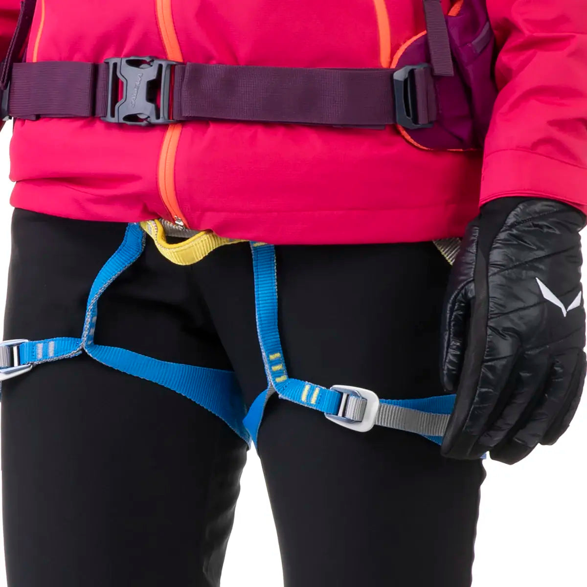 Salewa Ortles Harness