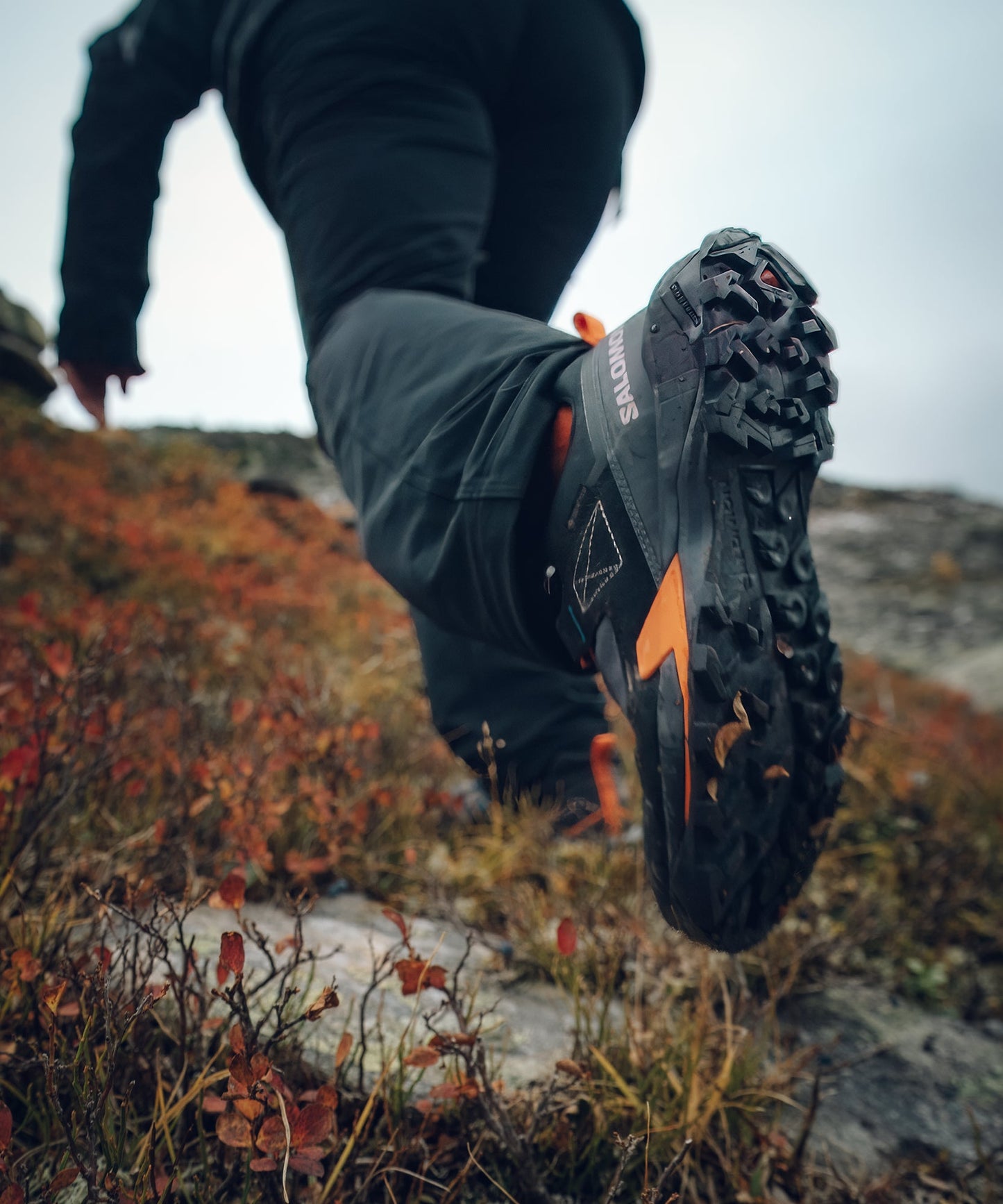 Salomon Shoes X Ultra Alpine GTX