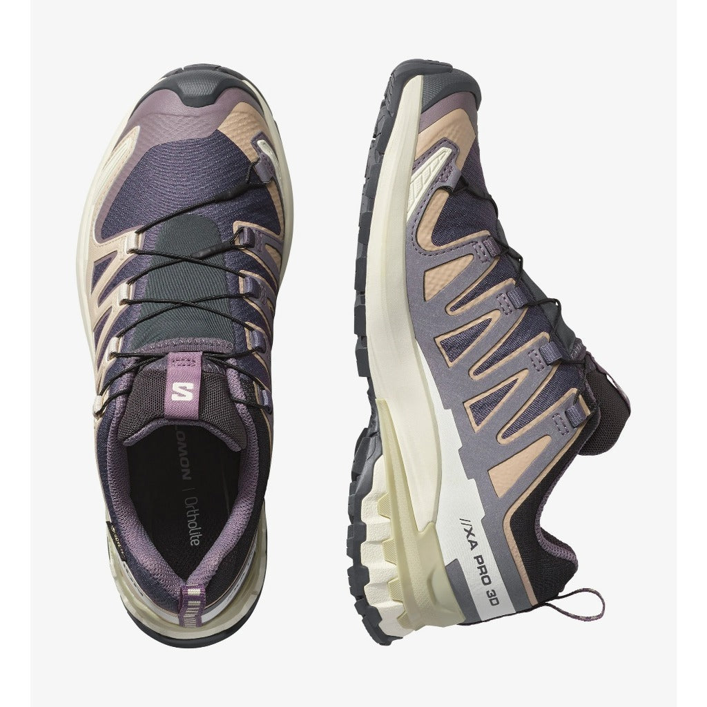 Salomon Shoes XA Pro 3D V9 GTX W