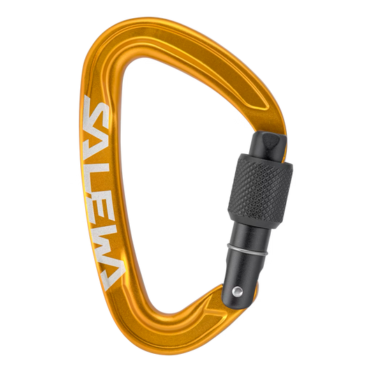 Salewa Ortles Screw Carabiner