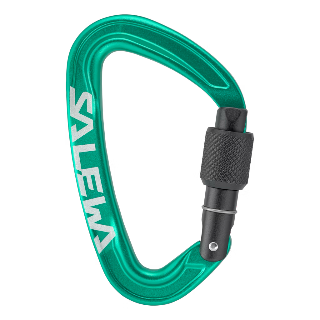 Salewa Ortles Screw Carabiner