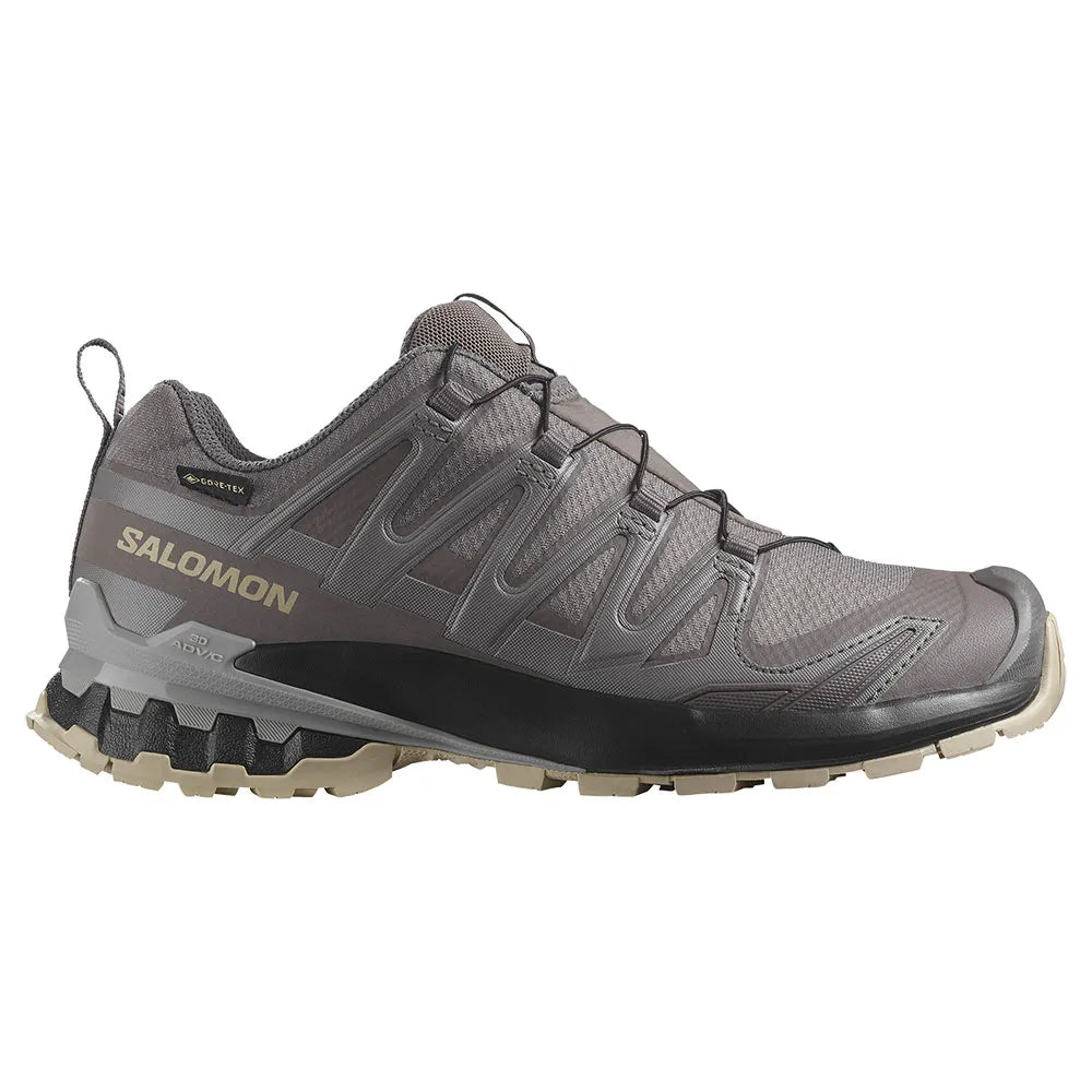 Salomon Shoes XA Pro 3D V9 GTX W