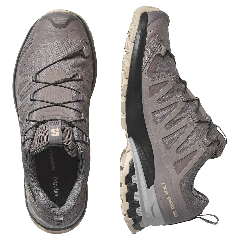 Salomon Shoes XA Pro 3D V9 GTX W
